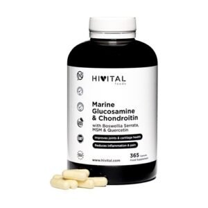 Hivital Glucosamina Marinha com Condroitina 365 Cápsulas